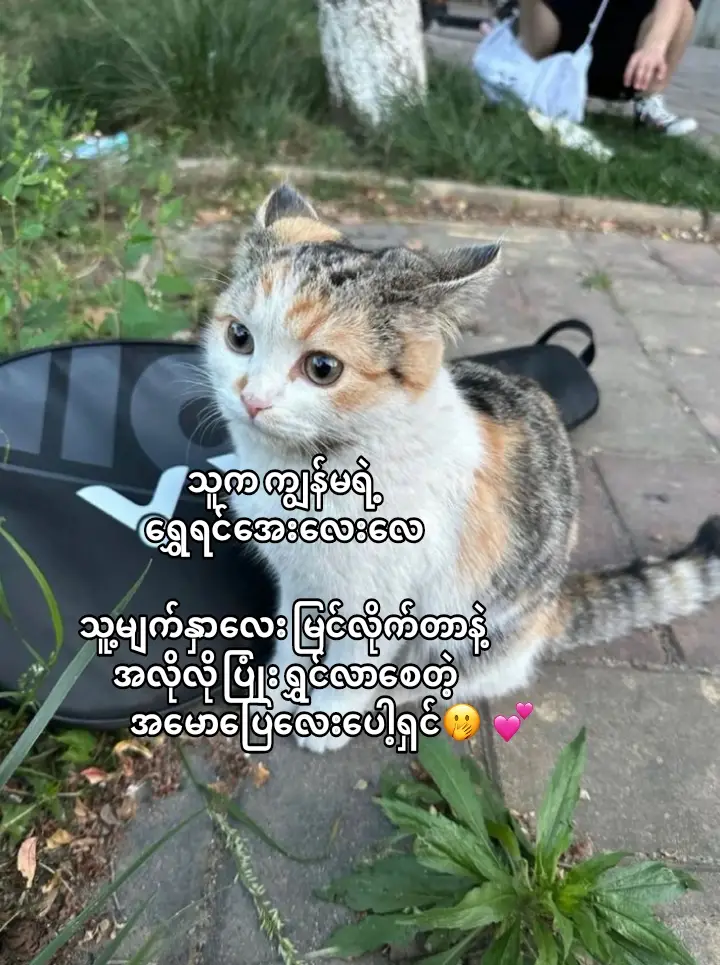 #အပြုံးချိုချိုလေးနဲ့ #fypppppppppppppp 
