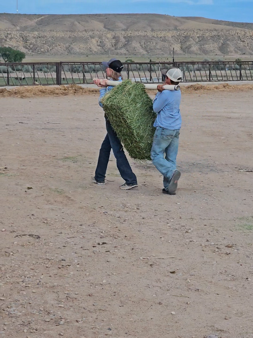 I asked the kids to get a bale off the hay rack and said I'd help them carry it to the horses. The bale is 70lbs. This is what I found when I got there to help. I'm pretty proud of their innovative little minds ❤️ #raisinglegends #fyp #lazyjpbar #family #ranchy 
