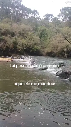 #fy 