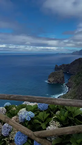 #madeira #portugal 