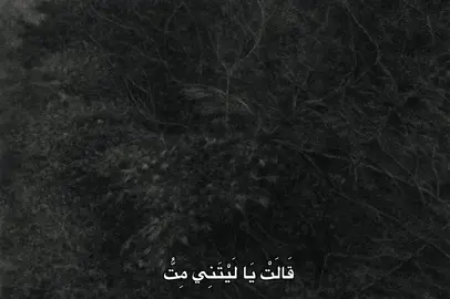 #محمد_صديق_المنشاوي #المنشاوي #quran #fyp #🎧 