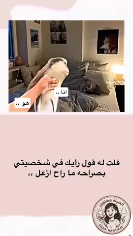 #الحياة_محتوى 