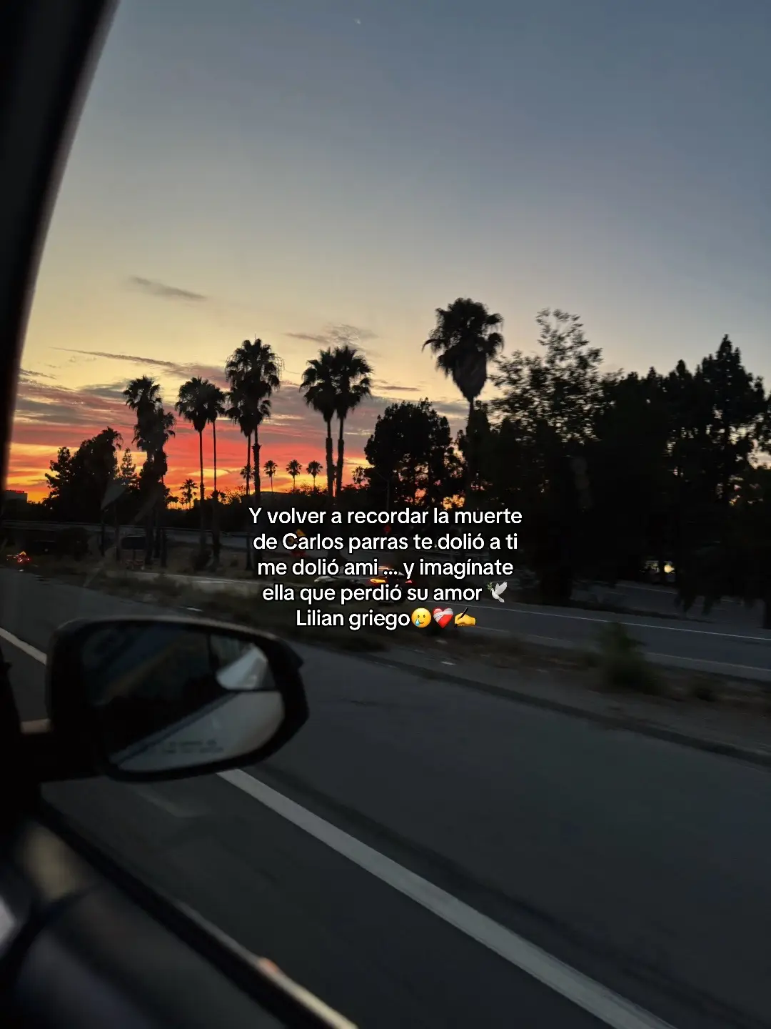 🕊️❤️‍🩹#fypシ゚viral #videoparati 