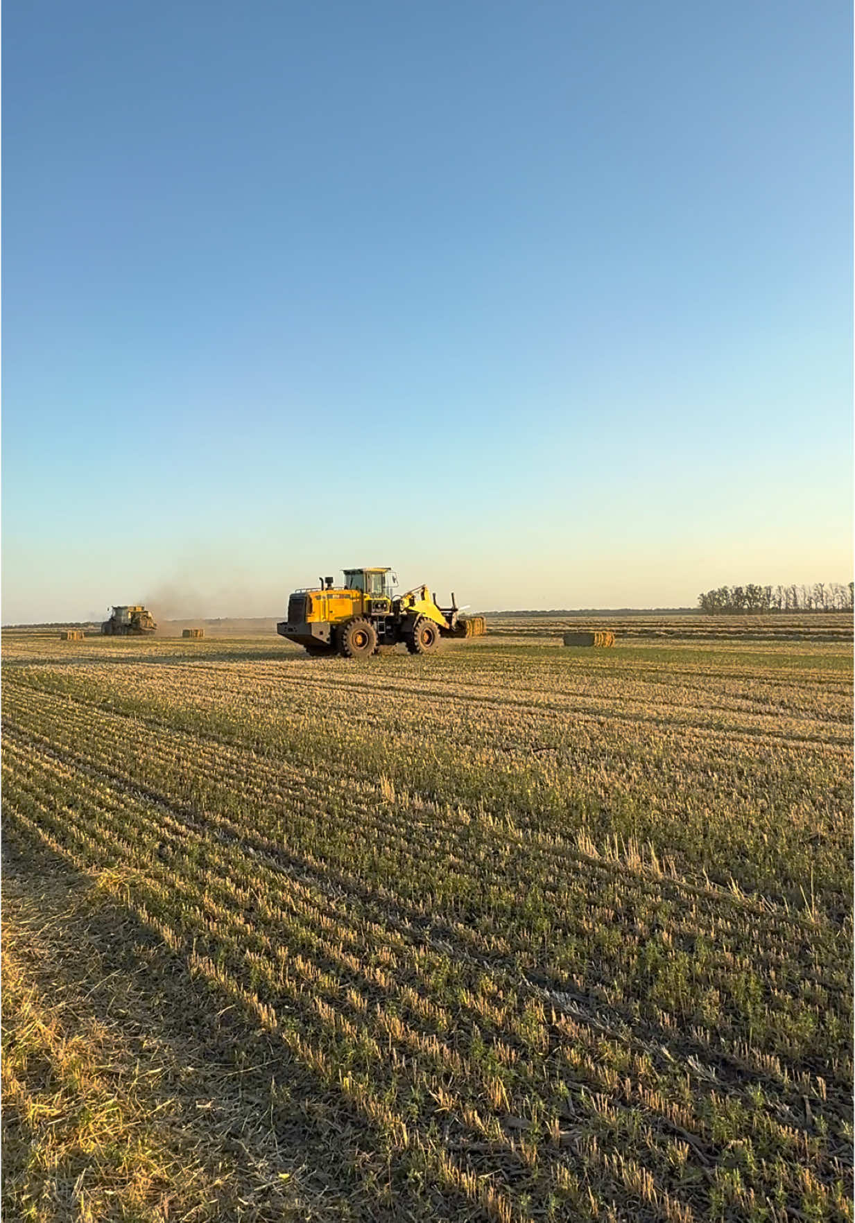 #Agrosphera #agro #agriculture #farming #farmers #farminglifestyle #ukraine #аграріїукраїни #українськіфермери #агросфера #сільскегосподарство #johndeere 