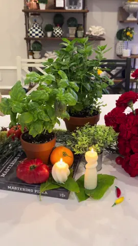 Wow your guests with an Italian themed tablescape! Everything here from Amazon, link in my bio ✨ #italiantablescape #pizzanight #italiantheme #tablescapedesign #ecasaevents 