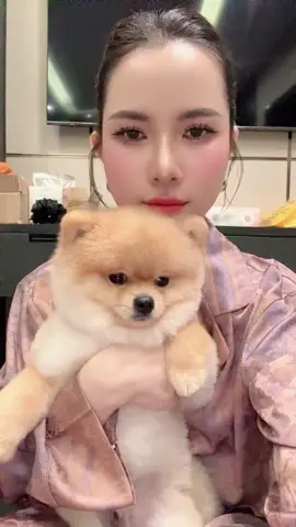 Từ hồi cắt tóc về ko cho ẫm