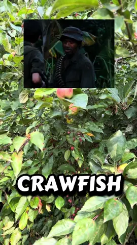 Some crab apples for dessert now yeah! #tropicthunder #pnw #pnwlife #meme #comedy 