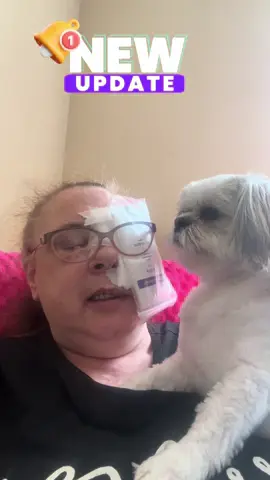 #baselcellcarsonoma #baselcellcarcinomaisnojoke #chewytheshihtzu 