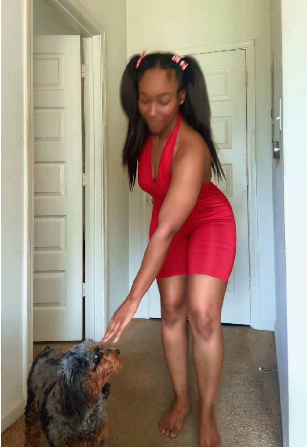 Minnie be sick of me 🤣🐾❤️