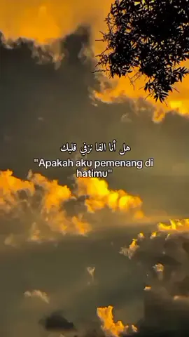 هل أنا الفا نزفي قلبك#fyp #qountesarabic #syaircinta #sanset #awan 