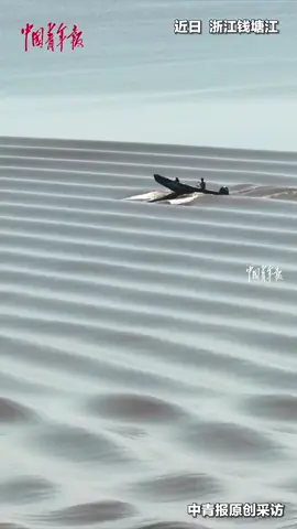 Chine# Le bateau de pêche avance sur les ondulations de la marée du Qiantang, comme s’il naviguait sur un désert de dunes.