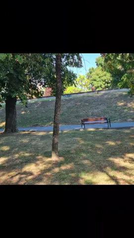 #arad #parcul #Eminescu  #spațiul #verde tăiat in tot parcul