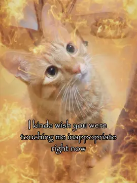 i kinda wish that 🥹 #meme #relatable #cattok #couple 