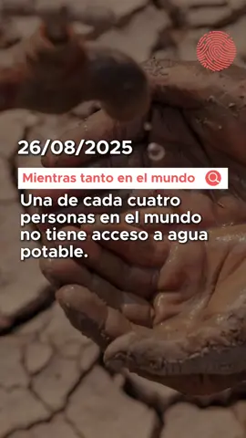 🌐Internacional | 26 de agosto Un informe de la ONU revela que 1 de cada 4 personas en el mundo no tiene acceso a agua potable. En Venezuela, el presidente Nicolás Maduro activa las fuerzas armadas.  Gustavo Petro, presidente de Colombia, niega la existencia del Cártel de los Soles. Manifestantes en Israel exigen un alto al fuego por los rehenes. Y en EE.UU., Donald Trump despide a la gobernadora de la Reserva Federal Lisa Cook, provocando caídas en los mercados bursátiles.  Para más detalles, mira el video completo y da clic en nuestro link en bio para más noticias. #noticias #ONU #Venezuela #Israel #trump 