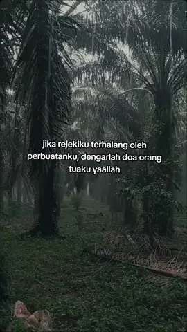 hmm#fyppppppppppppppppppppppp #sawit #lewatberandafyp #petanisawit 