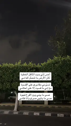 #foryou #fyp #الطائف_الآن #شعر #مطر 