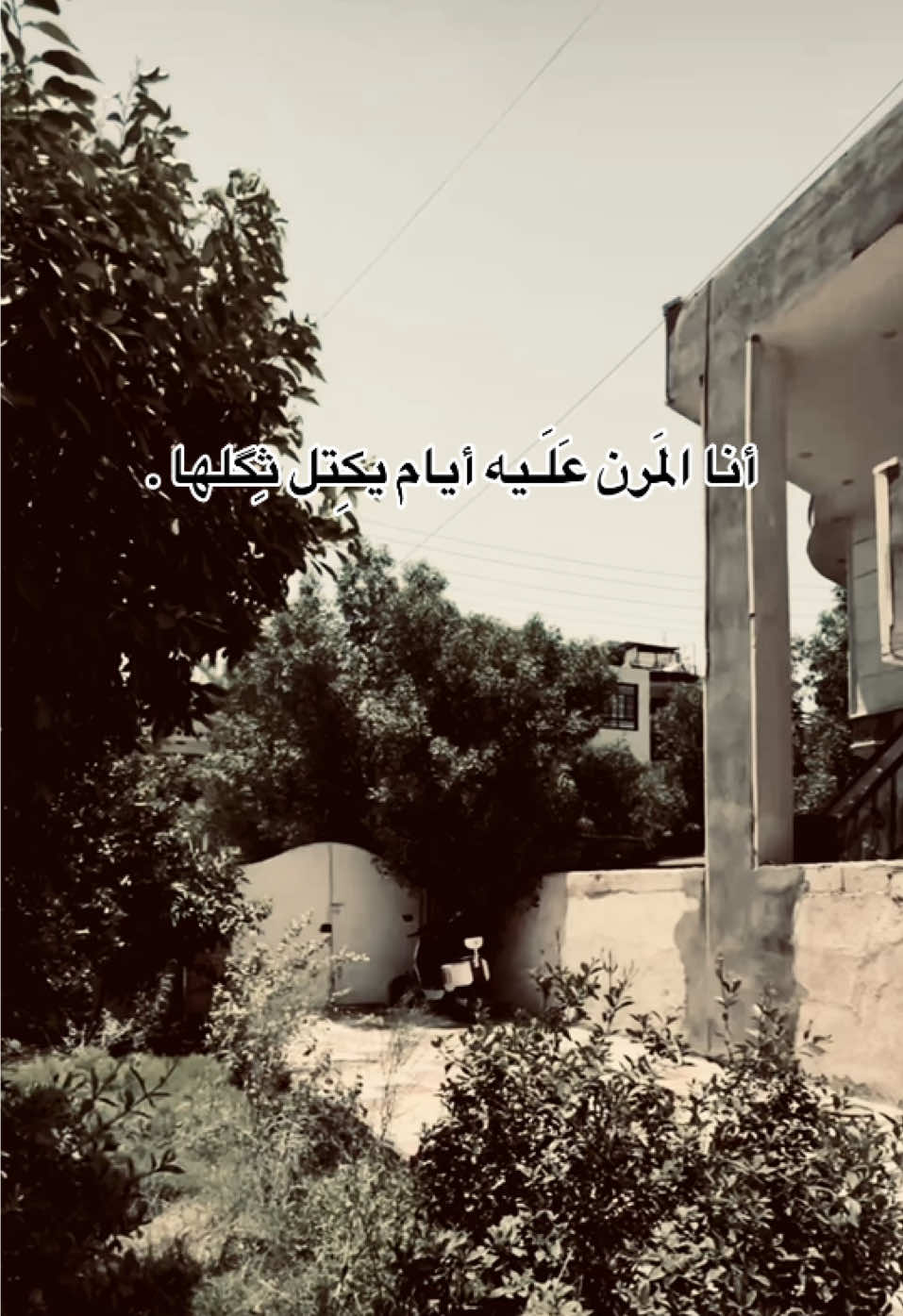 يكتل ثكلها💔 #fyp #viral #تصويري #f 