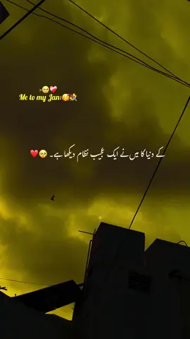 میں نے سارا جہاں دیکھا ہے 🥹❤️‍🩹#aesthetic #poetry #poetrystatus #grow #account 