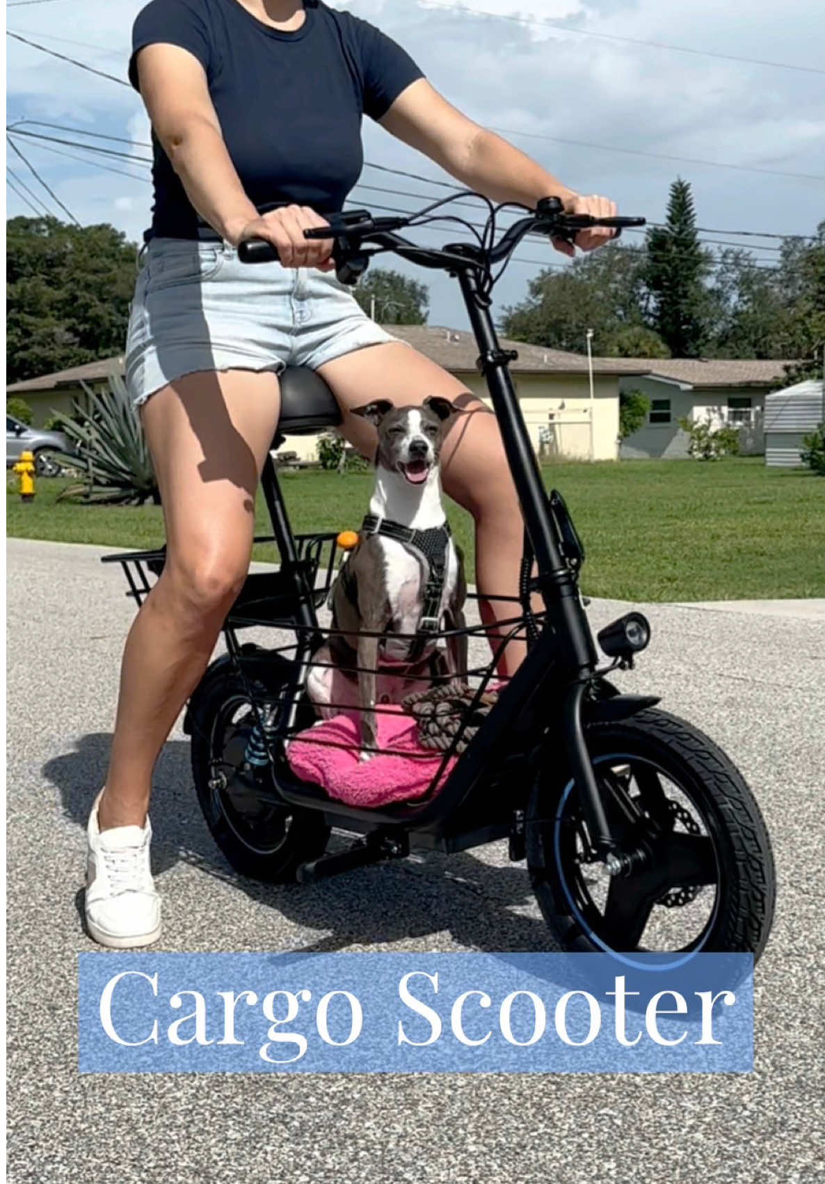 A cargo scooter that holds 300 lbs. 👏 You can find this under ✨Travel✨ on my website. #amazonfinds #scooter 