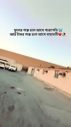 ফুলের গন্ধে চলে আসে প্যজাপতী আর টাকার গন্ধে চলে আসে মায়াবতী 💔😅#সোদি_আরব_প্রাবাসী🇸🇦 #Anondo #tiktok #foryoupage 