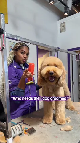Who needs their dog groomed? 👀 • • #atlantadoggroomer #doggrooming #happyheartspetcareservicesatl #doggroomer #atlanta 