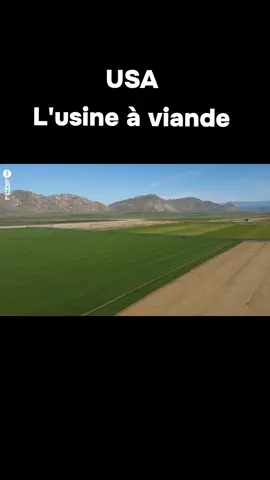 USA | L´usine à viande #business #fyyyyyyyyyyyyyyyy #tiktokbeninois🇧🇯 #ConSantanderConecto #entrepreneuriat 