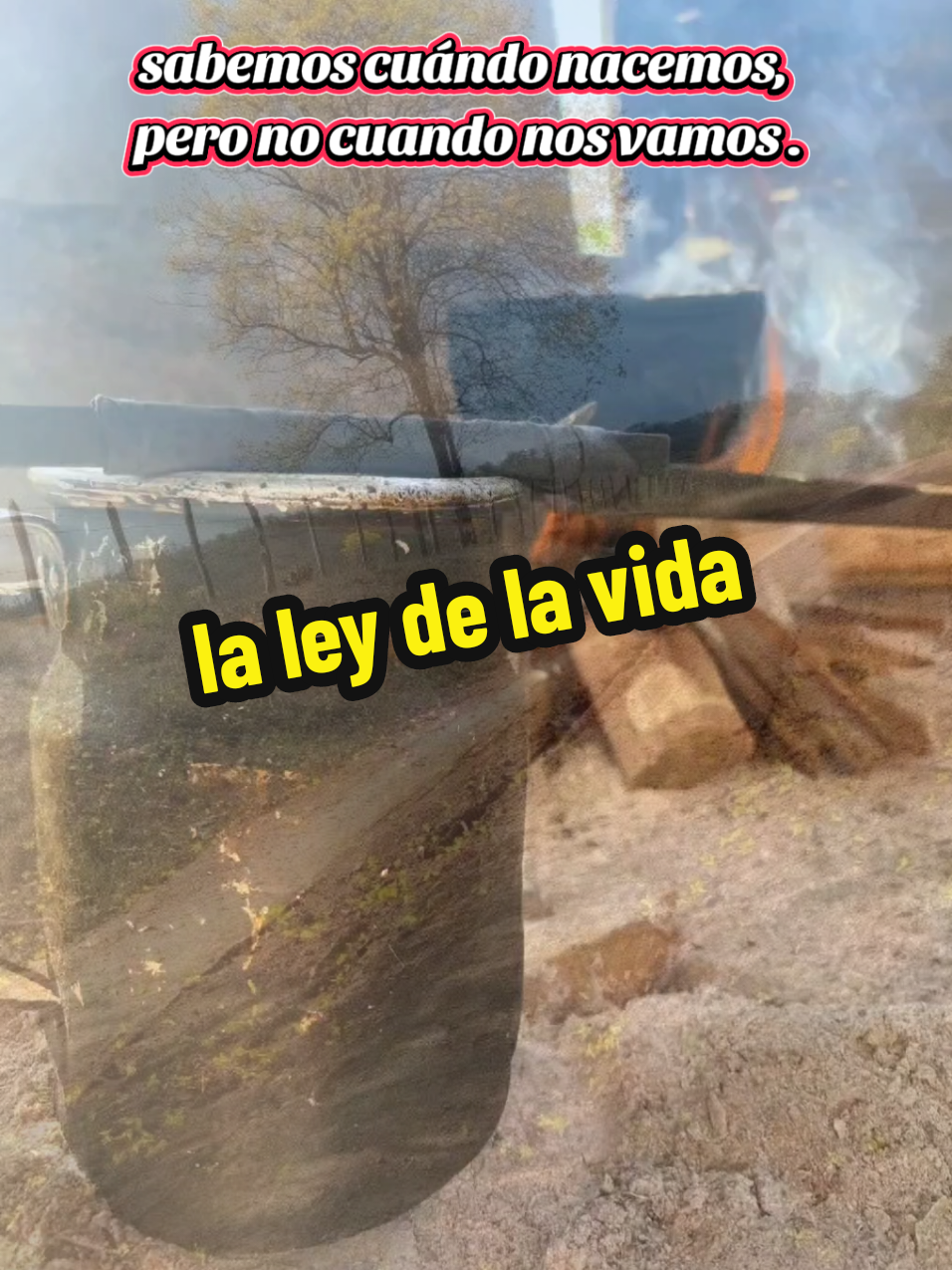 sabemos cuándo nacemos, pero no cuando nos vamos.#soyguaribero  #frases  #laleydelavida #musicallanera 