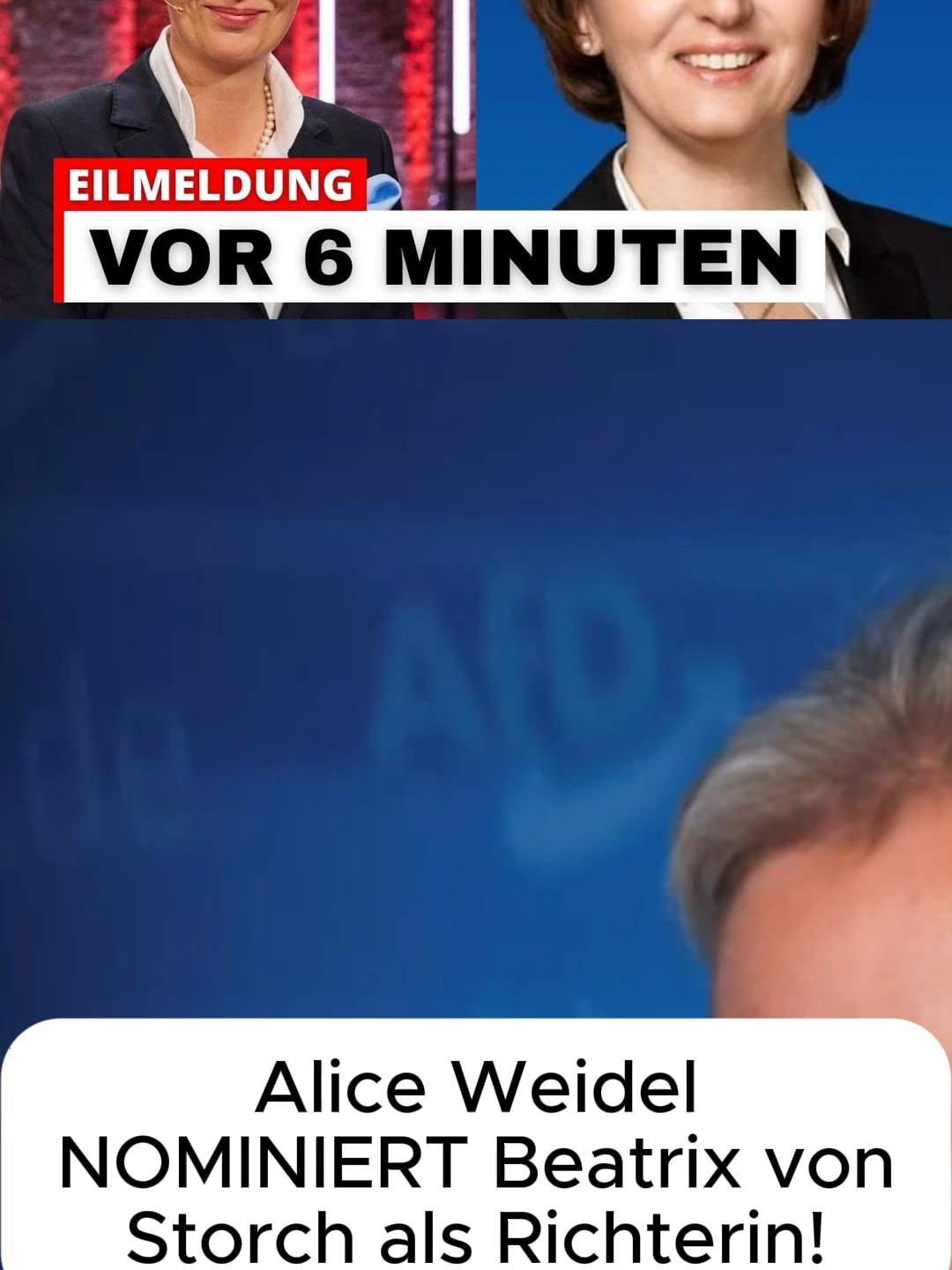 Alice Weidel NOMINIERT Beatrix von Storch als Richterin!