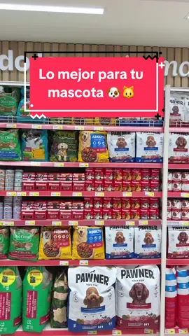 En Wong encuentras todo lo que necesitas para mantener a tu mascota sana y feliz, con las mejores marcas. 🐶🐱 Elige lo mejor para tu engreído en Wong, Wong.pe y la App Wong. Wong, de expertos para expertos.  #WongPerú #WongFinds #mascotas #perro #gato