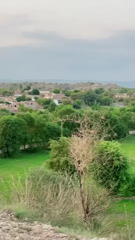 Paregad da zargya 🥰❤️#barkatkhattakofficiall #foryuopage❤️👑 #1millionaudition #viralthisvideoo 