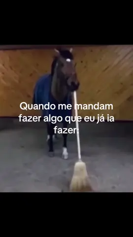 Eu #memes #meme #humor #cavalo 