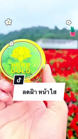 ครีมเฮิร์บโกลด์ ลดฝ้า ลดกระ #เฮิร์บโกลด์ #herbgold #รีวิวเฮิร์บโกลด์ #ริ้วรอย #ฝ้า #เจ้าของแบรนด์เฮิร์บโกลด์ #พี่เคเฮิร์บโกลด์ #kayherbgold #กระ #สิว #เฮิร์บโกลด์ครีมหน้าใส 