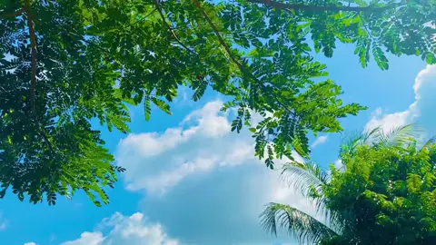 #সাপোট_করবেন_ইনশাআল্লাহ_সাপোর্ট_পাবেন #foryou #foryoupage #viralvideo #tiktokofficialbangladesh 