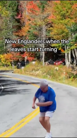 🍂🍁🍂