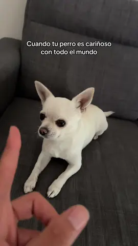 Así es el 😂🐶💋😘