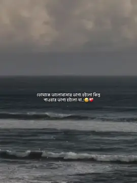 তোমাকে ভালোবাসার ভাগ্য হইলো কিন্তু পাওয়ার ভাগ্য হইলো না..!😅❤️‍🩹#fyp #foryou #viral #ভাইরাল_করে_দাও #__sabbir_01 