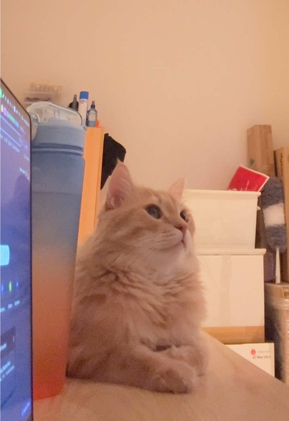 He listen #fyp