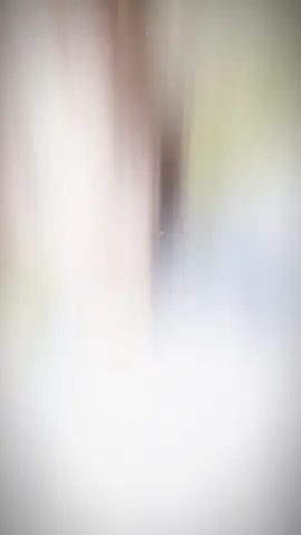 #CapCut 