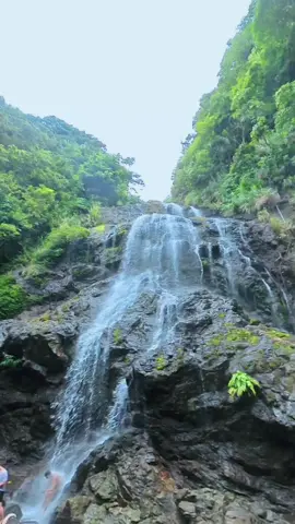 #RealQuezon #traveltok #Quezon #RealSurf #TravelPH Just a few hours from Manila, and you’ll find yourself in paradise 🌊☀️ Real, Quezon – where the waves never stop calling 🌴💙 