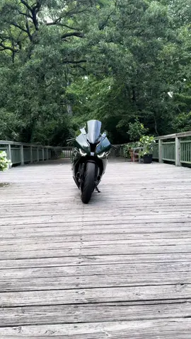 🌲 #brg #s1000rr #dadlore #bmw #gout 