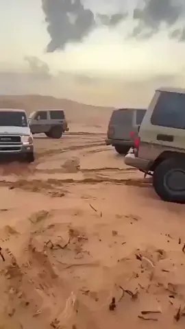يطعم الشتاء #ربع #القصيم #اكسبلور #كشته #نفود 
