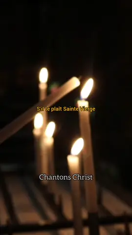 Marie tendresse dans nos vies  #avemaria #viergemarie #chatolique #chantchatholique #christ 