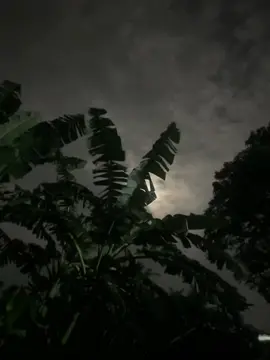 ৷৷৷,  .. ... ...... ........ 🌙🌖🌕