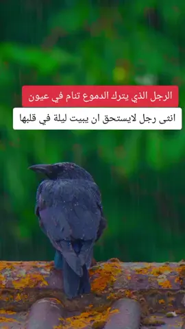 #تصميم_فيديوهات🎶🎤🎬 #حزن #fyp #foryoupage #tiktok 