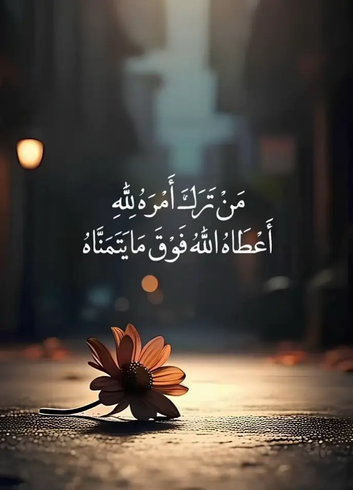 #لا_اله_الا_الله 