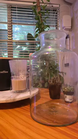 #terrarium #coahuila 