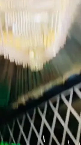 کوشلی غریب نا منی