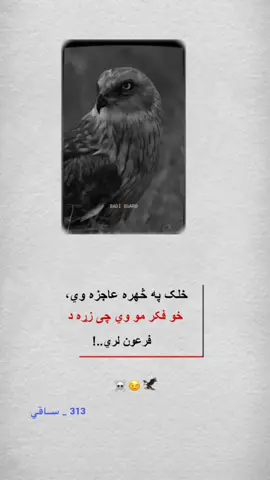 #fyp #foryoupage #writer #ali_ningrhari✍️🏼❤ 