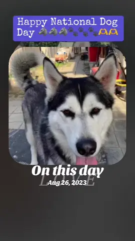 #onthisday 