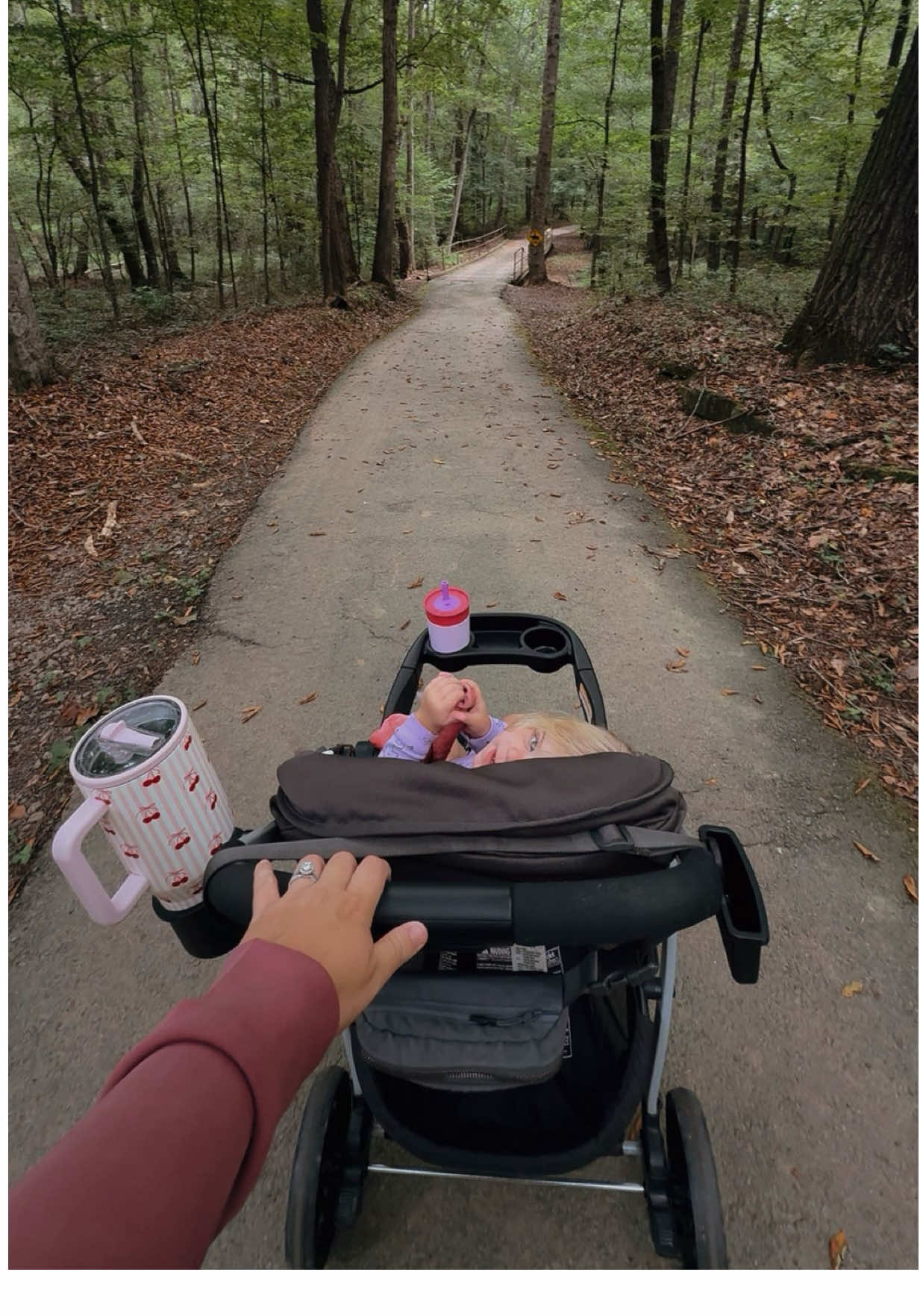 This was definitely what we needed today! Go get outta the house and go for a lil walk 🫶🏼🫶🏼 #naturewalk #sahm #MomsofTikTok #Vlog #excercise 